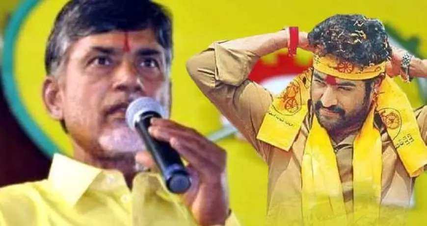 వారసుడుగా ఎన్టీఆర్ సిద్ధమేనా ? రాజకీయాల్లోకి వస్తారా రారా? తండ్రి పెట్టిన పార్టీని పునరుద్దరిస్తారా?