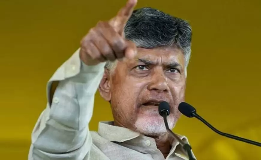 జాతీయ రాజకీయాల్లో చంద్రబాబు నాయుడు కీలక పాత్ర పోషిస్తున్నారు.....