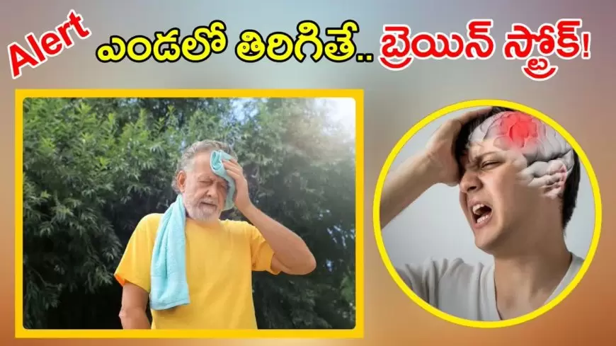 ఎండలో తిరిగితే బ్రెయిన్ స్ట్రోక్‌.....